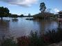 taree-flood2011 009